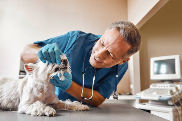 Best Emergency Tooth Extraction in Robstown, TX